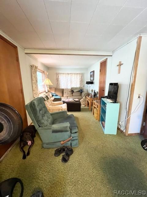 4784 E Harvard, Hernando, FL 34442 photo 9
