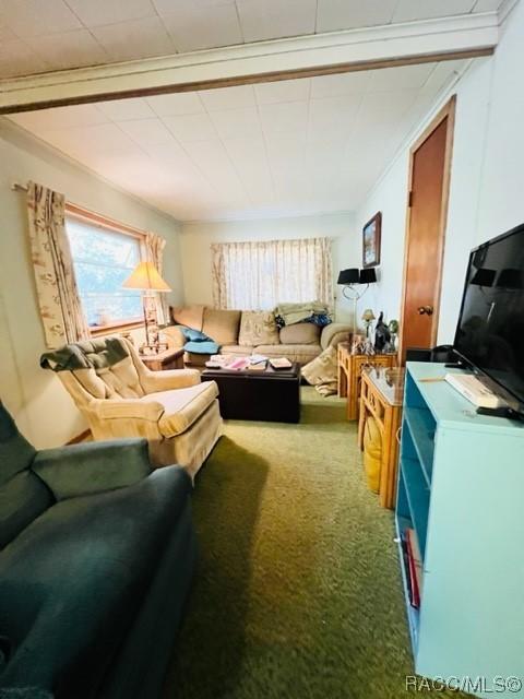 4784 E Harvard, Hernando, FL 34442 photo 7