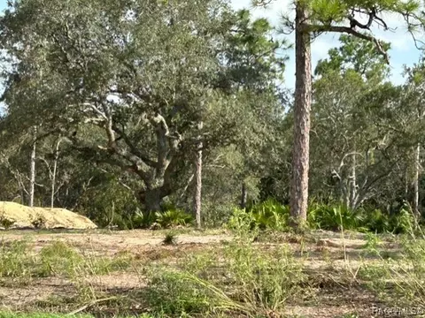 4658 0 W Grover Cleveland Blvd, Homosassa, FL 34446