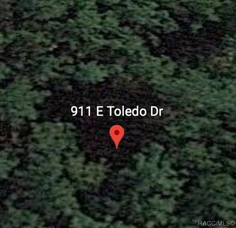 911 E Toledo Dr, Citrus Springs, FL 34434