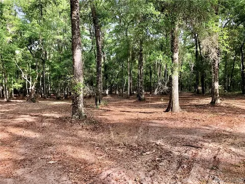 11310 S Pleasant Grove Rd, Inverness, FL 34452