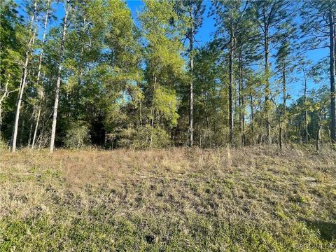 Tbd SW 61 Place Road, Ocala, FL 34481