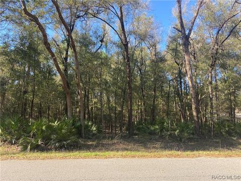 Lot 18 SW 73 Loop, Dunnellon, FL 34431