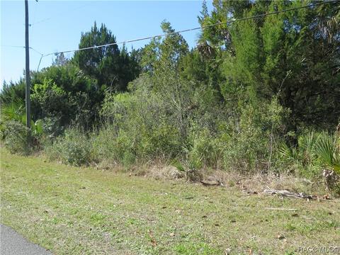 1036 N Country Club Dr, Crystal River, FL 34429
