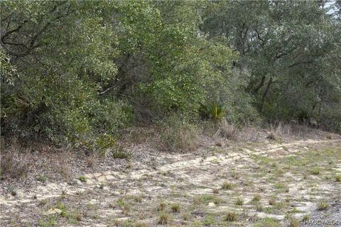 4461 W Thrush Dr, Citrus Springs, FL 34433