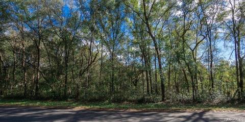 1316 E Belmont Pl, Hernando, FL 34442