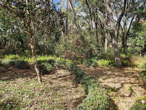 4051 N Indianhead Rd, Hernando, FL 34442 photo 47