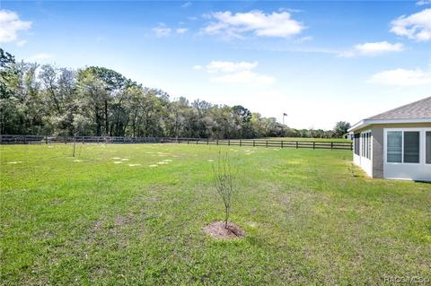 218 E Dusty Ct, Hernando, FL 34442 photo 20