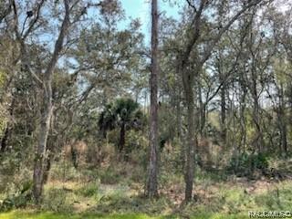 334 N Dunkenfield Ave, Crystal River, FL 34429
