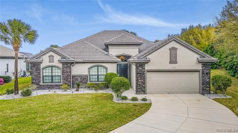 1363 N Eagle Ridge Path, Hernando, FL 34442 photo 5