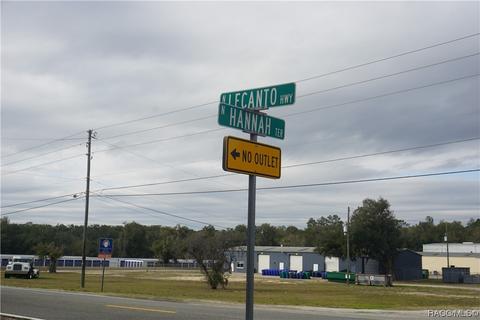 7023 N Lecanto Hwy, Hernando, FL 34442 photo 2