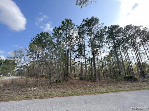 1 W Eugenia Ct, Homosassa, FL 34446