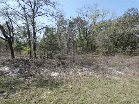 Lot 11 SW Paradise Heights, Dunnellon, FL 34431