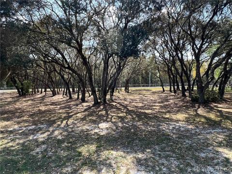 1257 E La Salle St, Hernando, FL 34442 photo 39