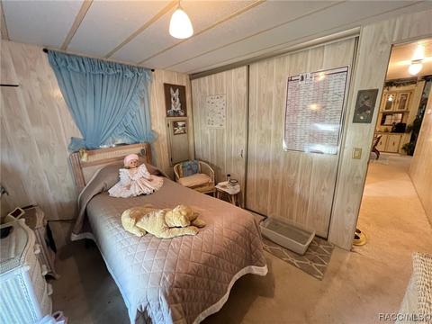 1257 E La Salle St, Hernando, FL 34442 photo 17
