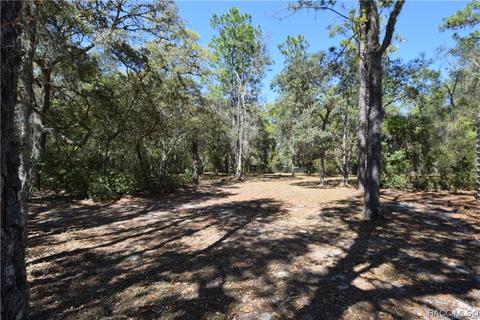 191 E Lancaster St, Lecanto, FL 34461 photo 18