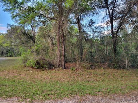 899 Elston Pl, Citrus Springs, FL 34434