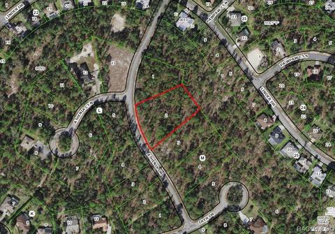 97 Athenia Dr, Homosassa, FL 34446