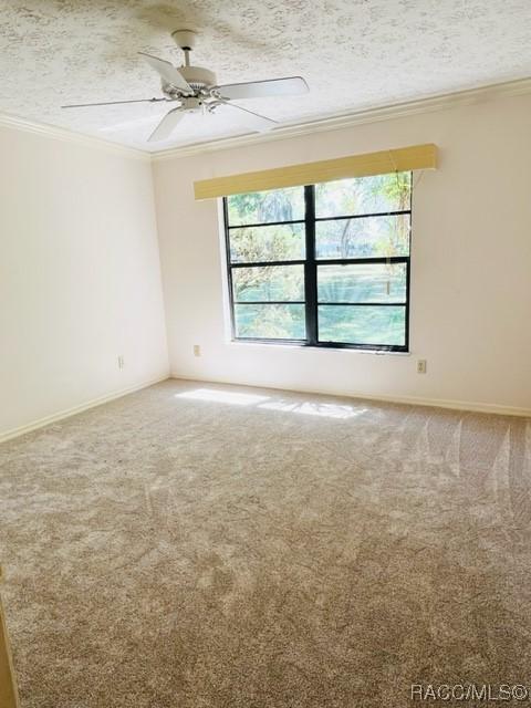 716 E Ireland Ct, Hernando, FL 34442 photo 25