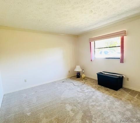 716 E Ireland Ct, Hernando, FL 34442 photo 22