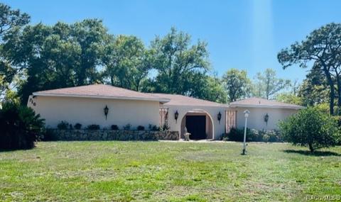 716 E Ireland Ct, Hernando, FL 34442 photo 40