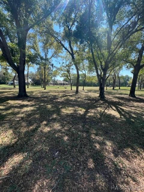 716 E Ireland Ct, Hernando, FL 34442 photo 35