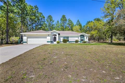 1467 W Lamplighter St, Citrus Springs, FL 34434