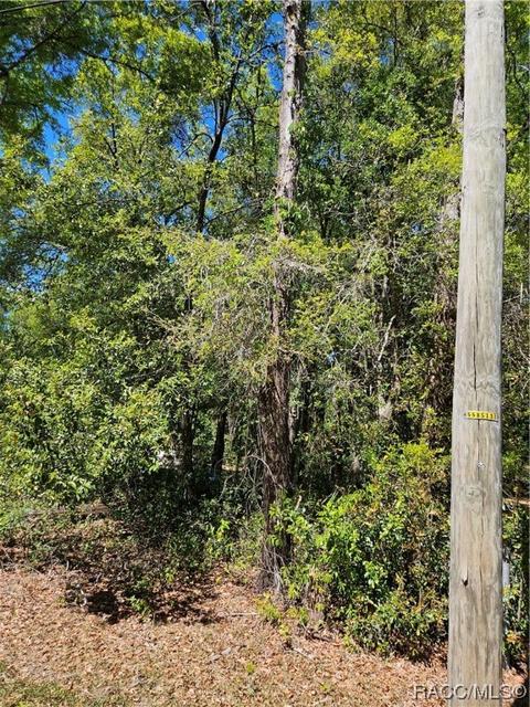 4625 E Bow N Arrow Loop, Inverness, FL 34452 photo 1