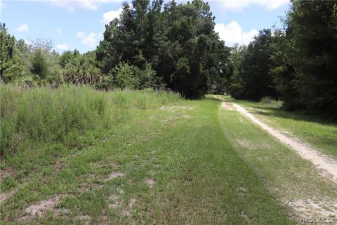 8615 N San Filippo Loop, Crystal River, FL 34428