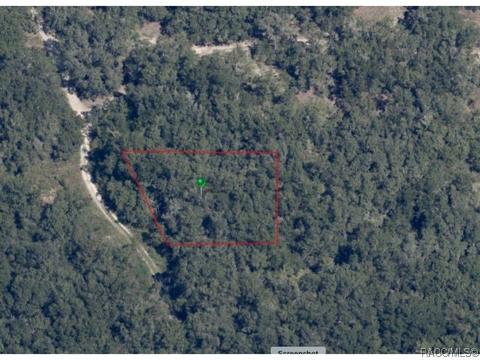 3016 Polk St W, Inverness, FL 34453