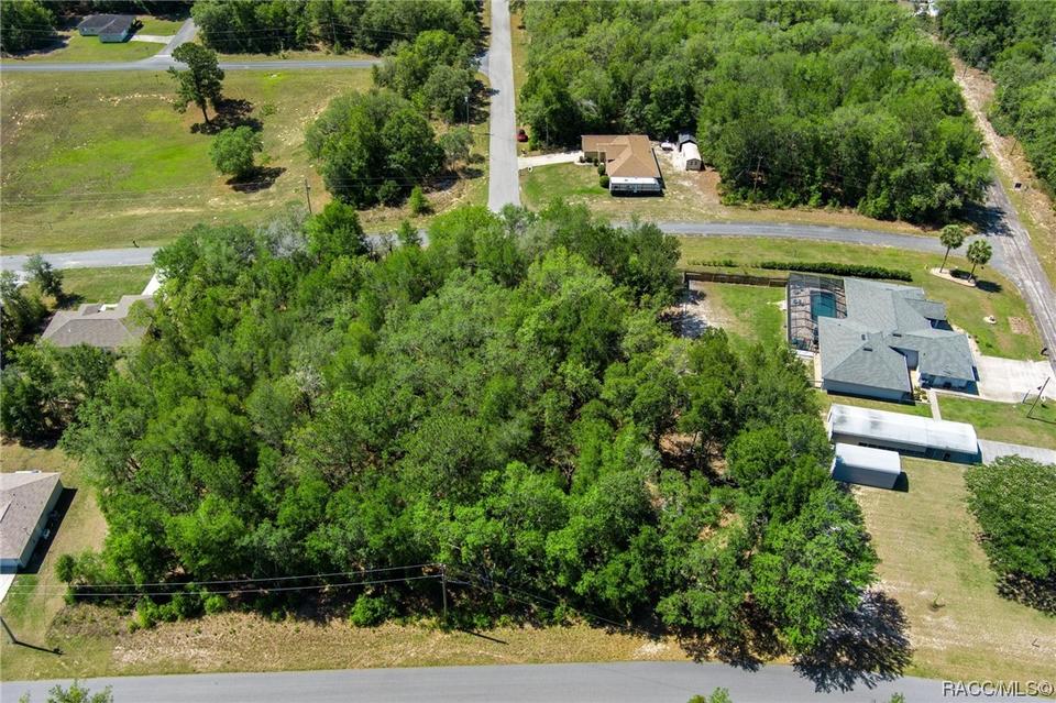  2483 W Magenta Dr, Citrus Springs, FL 34434 photo 14