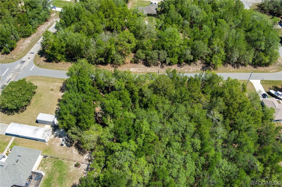  2483 W Magenta Dr, Citrus Springs, FL 34434 photo 11