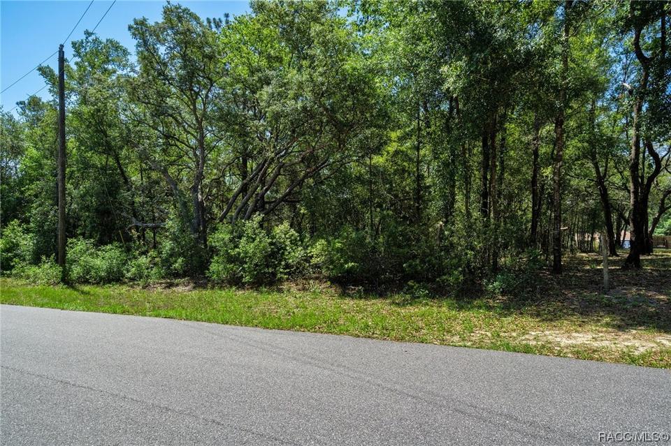  2483 W Magenta Dr, Citrus Springs, FL 34434 photo 2