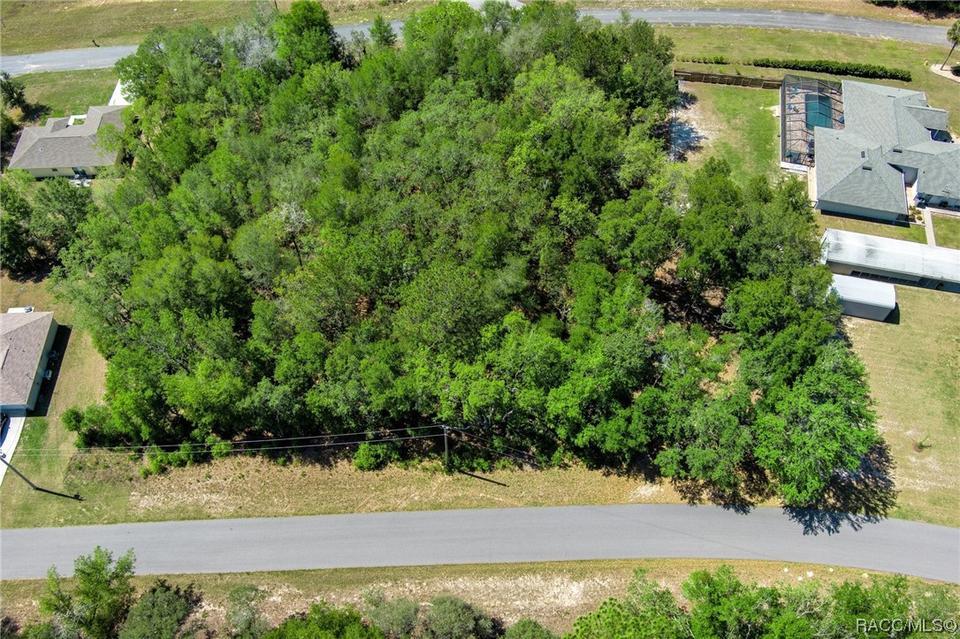  2483 W Magenta Dr, Citrus Springs, FL 34434 photo 5