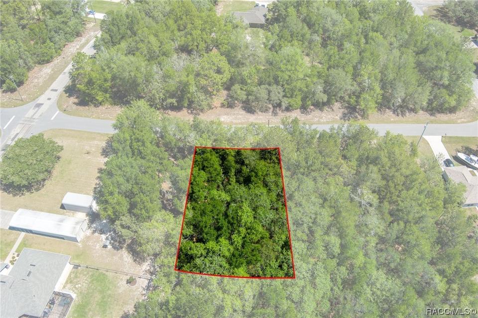  2483 W Magenta Dr, Citrus Springs, FL 34434 photo 10