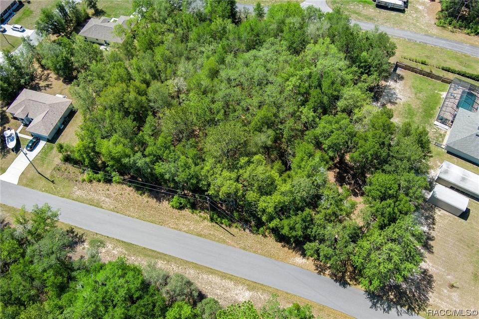  2483 W Magenta Dr, Citrus Springs, FL 34434 photo 6