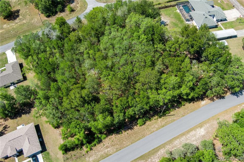  2483 W Magenta Dr, Citrus Springs, FL 34434 photo 7