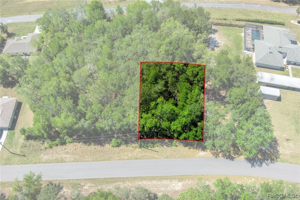  2483 W Magenta Dr, Citrus Springs, FL 34434 photo 4