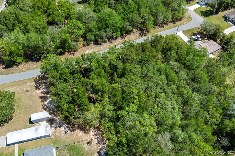  2483 W Magenta Dr, Citrus Springs, FL 34434 photo 12