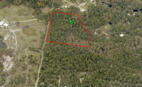 5642 E River Rd, Hernando, FL 34442 photo 4