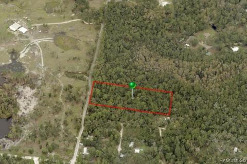 5642 E River Rd, Hernando, FL 34442 photo 2