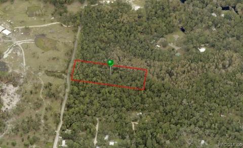 5642 E River Rd, Hernando, FL 34442 photo 3