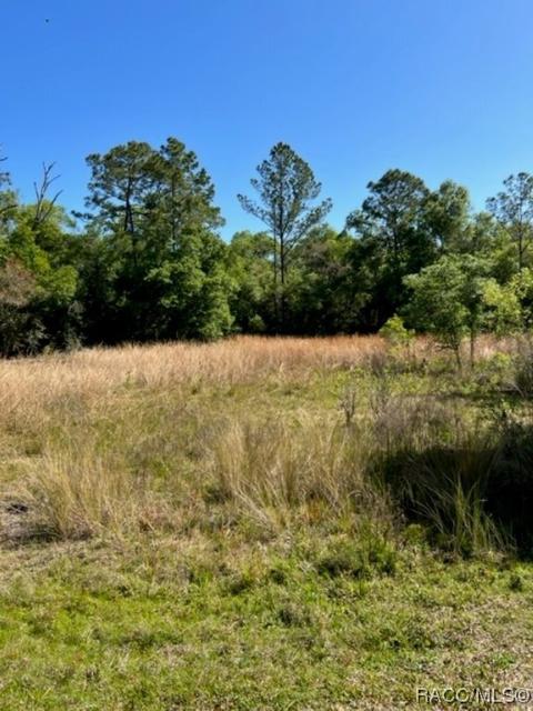 7272 Sonia Ave, Webster, FL 33597