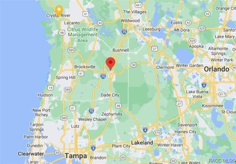 7272 Sonia Ave, Webster, FL 33597 photo 4