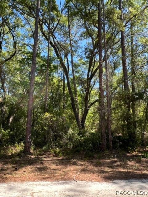 7272 Sonia Ave, Webster, FL 33597 photo 5