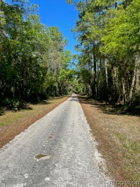7272 Sonia Ave, Webster, FL 33597 photo 6