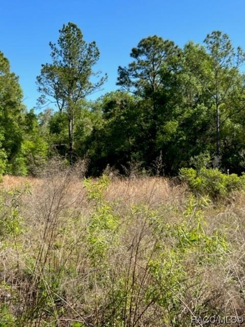 7272 Sonia Ave, Webster, FL 33597 photo 8