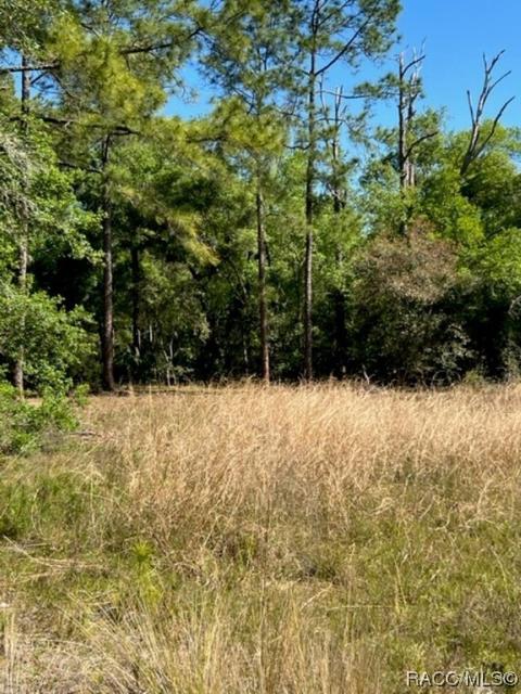 7272 Sonia Ave, Webster, FL 33597 photo 9