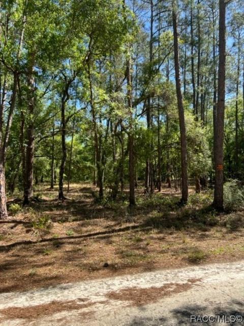 7272 Sonia Ave, Webster, FL 33597 photo 7