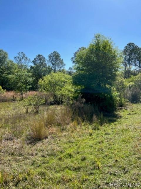 7272 Sonia Ave, Webster, FL 33597 photo 10